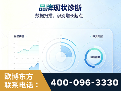 米林-品牌现状诊断
