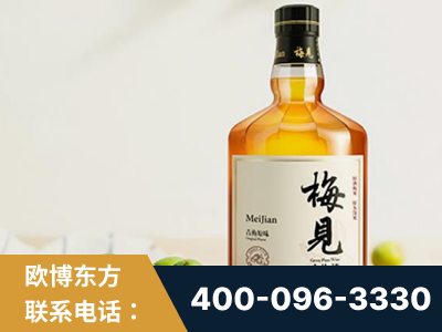 米林-梅见青梅酒