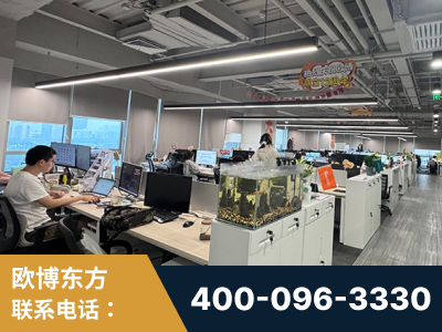 米林-企业展示图